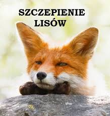 AKCJA SZCZEPIENIA LISÓW