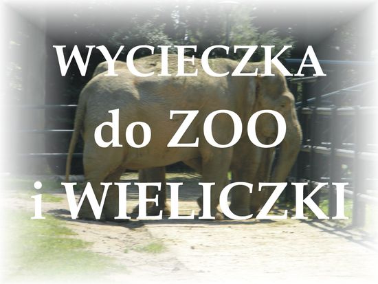 Wycieczka do ZOO i Wieliczki