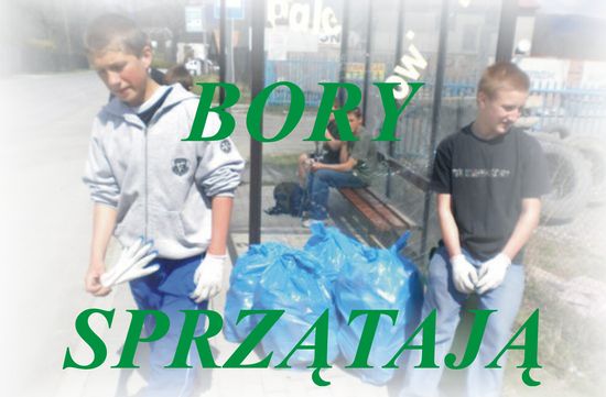 BORY sprzątają Pietrzykowice