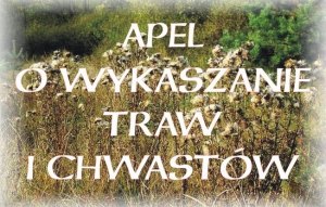 APEL O WYKASZANIE TRAW I CHWASTÓW NA TERENIE GMINY ŁODYGOWICE